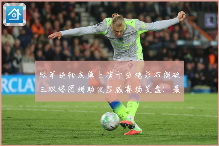 绿军逆转灰熊上演十分绝杀布朗砍三双塔图姆助攻显威赛场复盘：最新赛事动态与深度分析